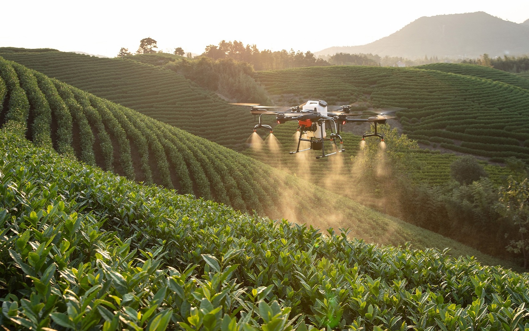 Pesticides – a blessing or a curse? - 2030 | ONEWORLD No Hunger